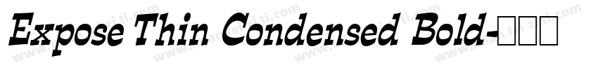 Expose Thin Condensed Bold字体转换
